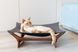 Гамак-лежак для кота brown+gray PetJoy brown1gray фото 1