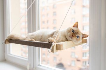 Гамак на вікно для кота white+beige PetJoy wwhite1beige фото