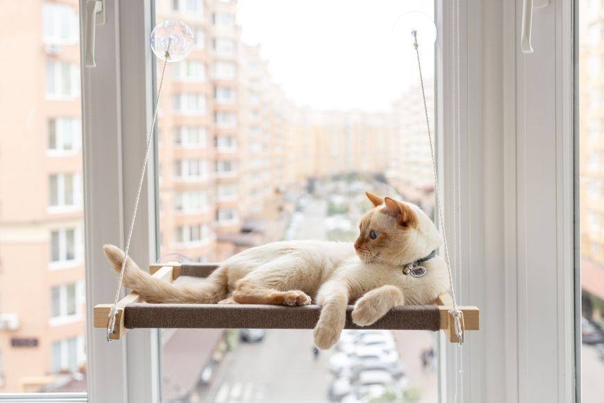 Гамак на вікно для кота white+beige PetJoy wwhite1beige фото