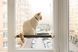 Гамак на вікно для кота white+gray PetJoy wwhite1gray фото 2