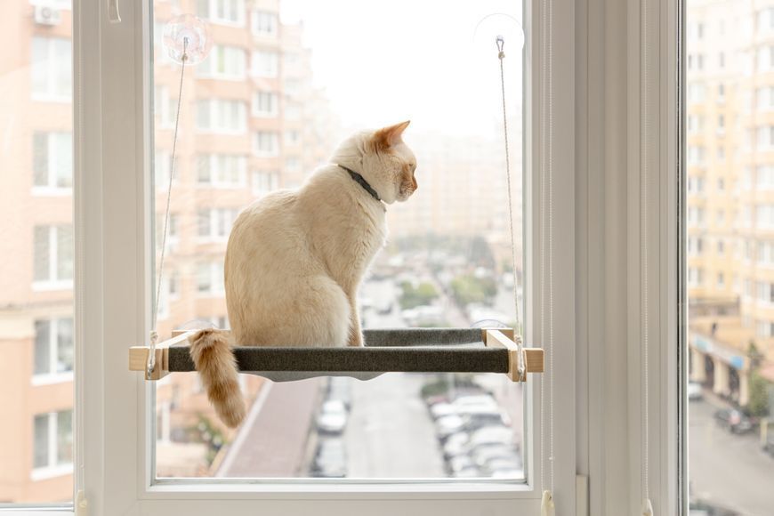 Гамак на вікно для кота white+gray PetJoy wwhite1gray фото