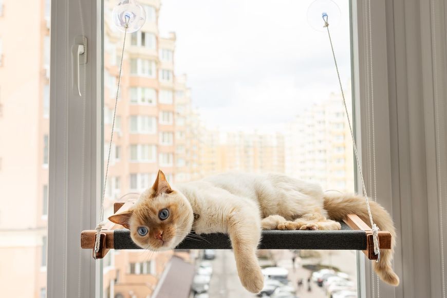 Гамак на вікно для кота brown+gray PetJoy wbrown1gray фото