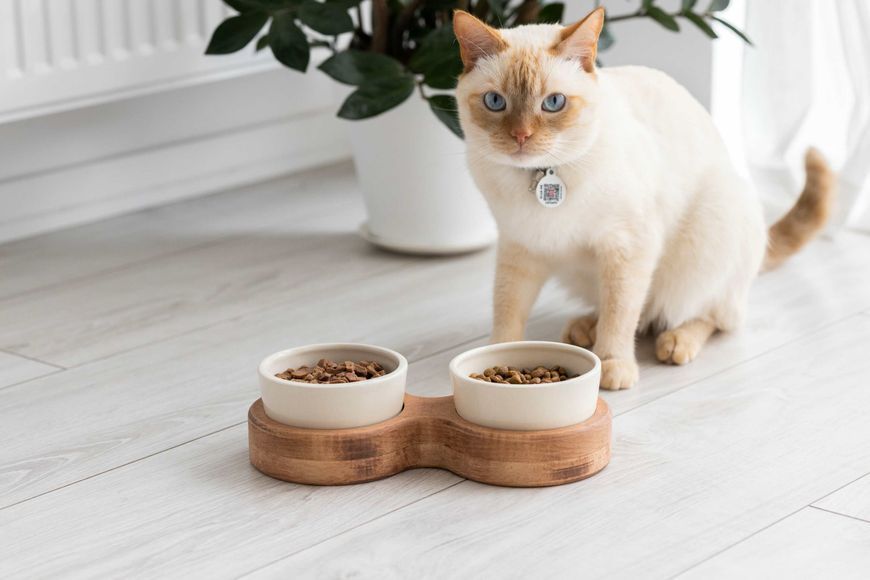 Миски на підставці для кота brown+white cat2bowlBW cat2bowlBW фото