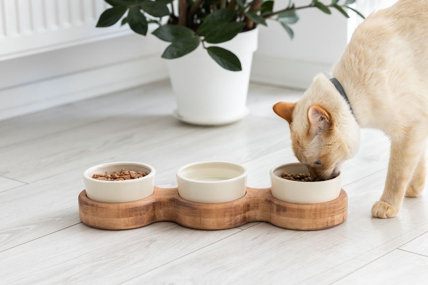 Миски на підставці для кота brown+white cat3bowlBW cat3bowlBW фото