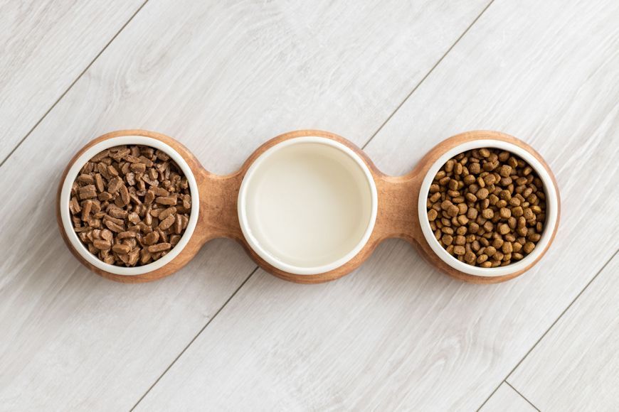 Миски на підставці для кота brown+white cat3bowlBW cat3bowlBW фото