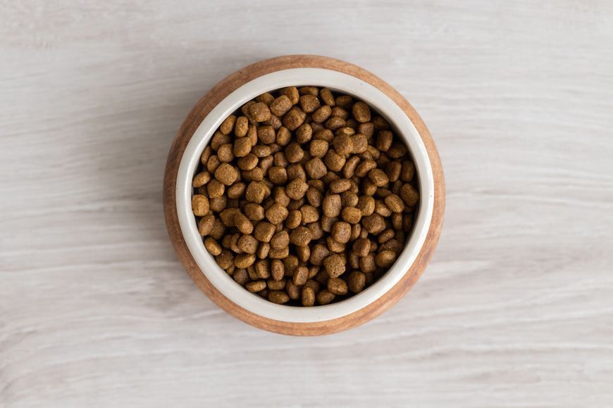 Миски на підставці для кота brown+white cat1bowlBW cat1bowlBW фото